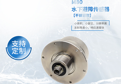 Ultrasonic sensor 500.03.jpg