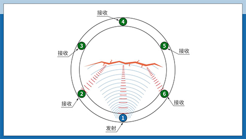 Ultrasonic tree testing sensor