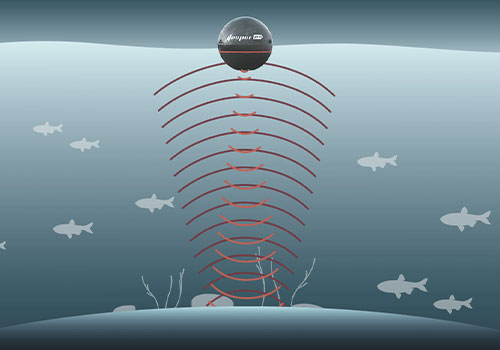 Ultrasonic Fish Deterrent Transducer