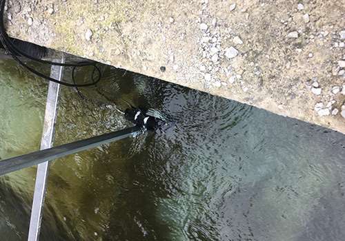 Doppler Current Meter Doppler Current Meter