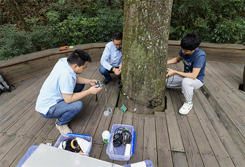 Ultrasonic tree testing sensor