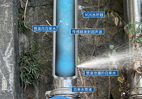 Hydrophone Hydrophone
