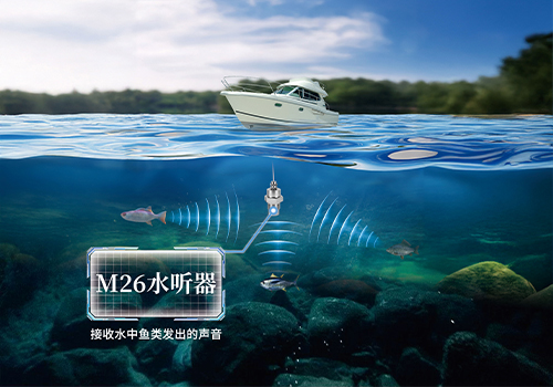 Hydrophone Hydrophone