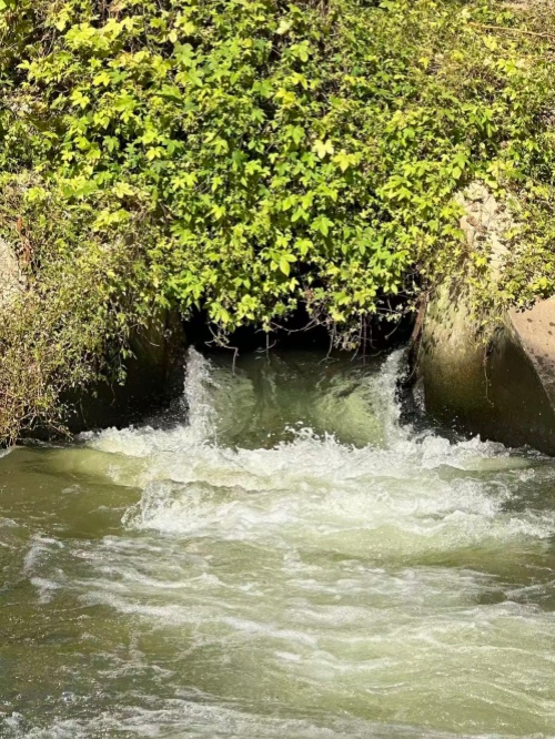 下水道.jpg