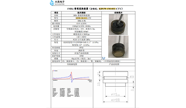 Ultrasonic transit-time flow measurement chamber transducer Ultrasonic transit-time flow measurement chamber transducer