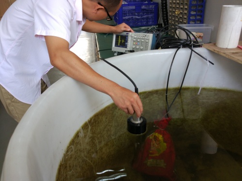 177604714687882.jpg Shangguang Changshuo measuring Beijing Haopu Zhongxing's depth sounder 20170705 (11)_copy.jpg