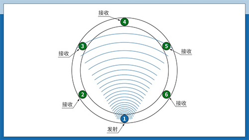 Ultrasonic tree testing sensor