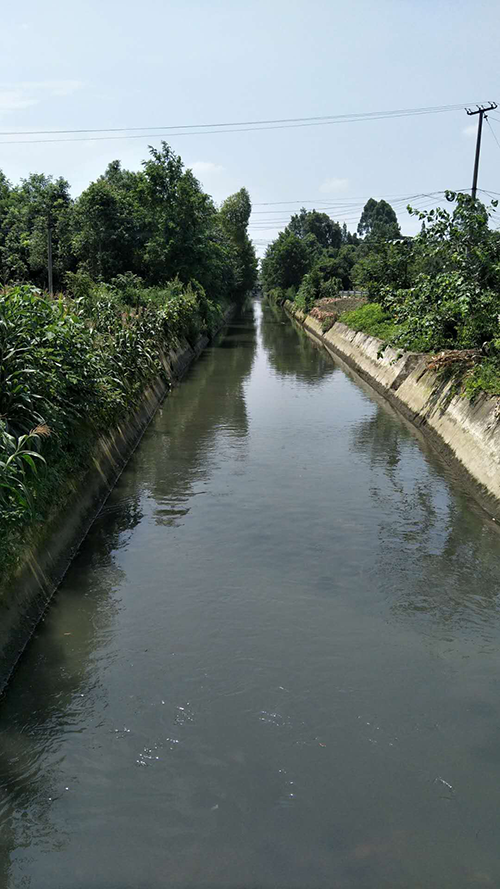 166027608459939.png 图片1.png
