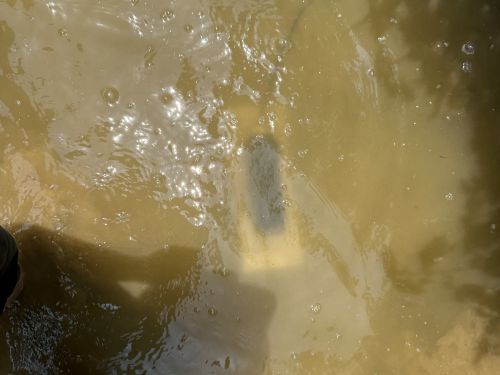 178062458143455.png Image 8.png