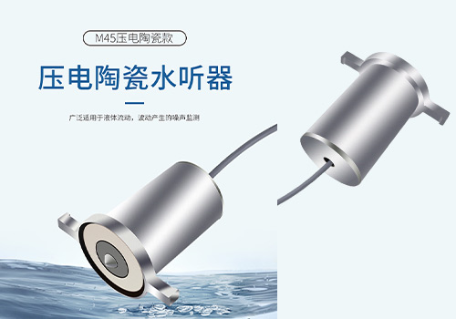 M45 Piezoelectric Ceramic Hydrophone M45 Piezoelectric Ceramic Hydrophone